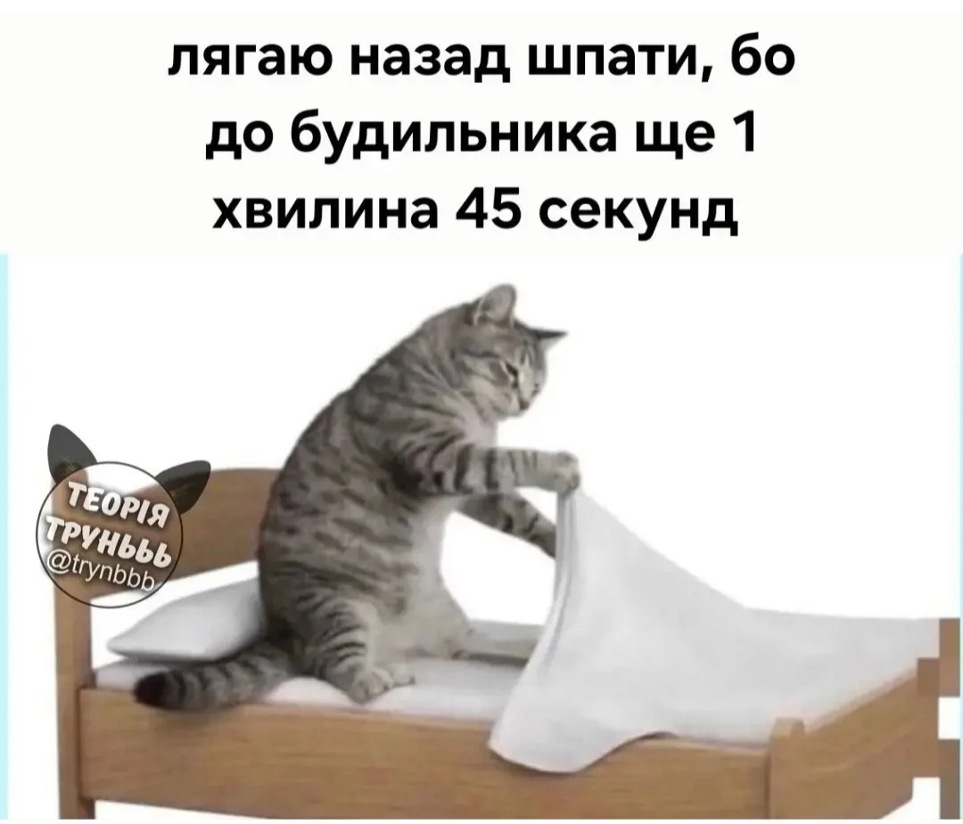 IMG_20260726_082352.webp