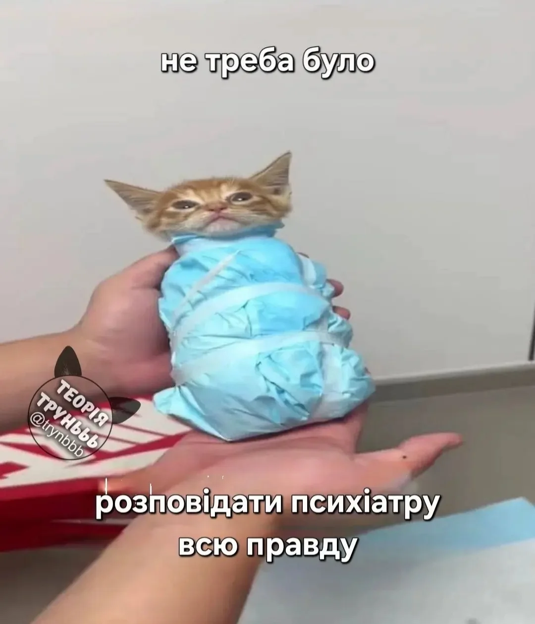 IMG_20260726_082406.webp
