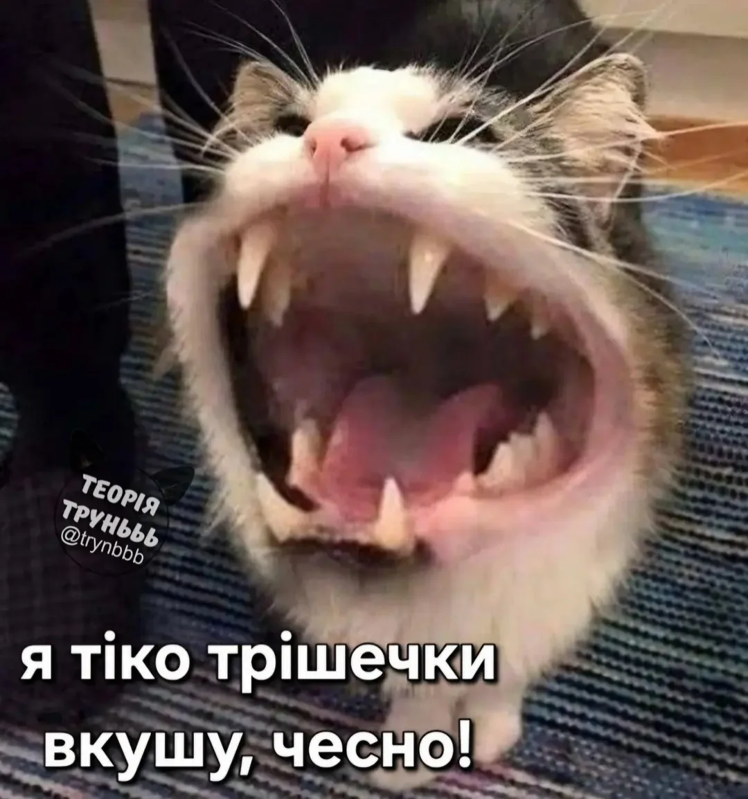 IMG_20260728_140954.webp
