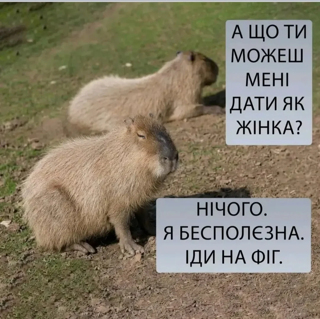 IMG_20260806_155450.webp