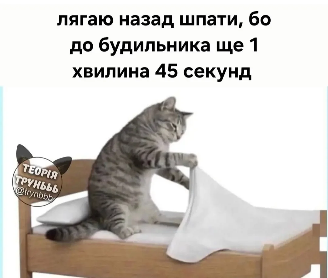 IMG_20260807_064012.webp