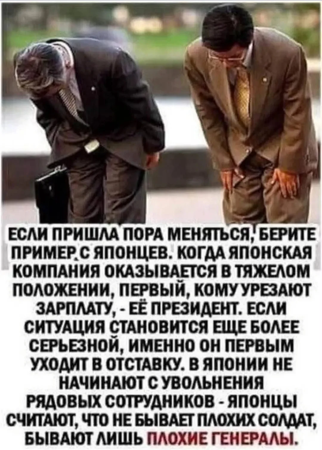 IMG_20260808_081109.webp