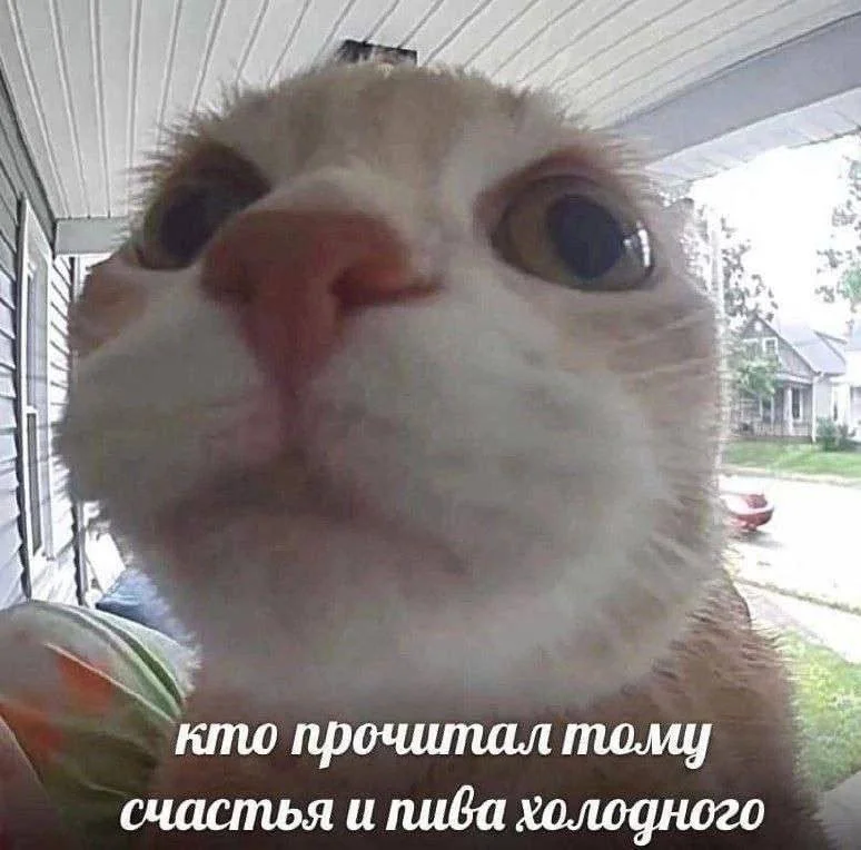 IMG_20260814_210800_379.webp