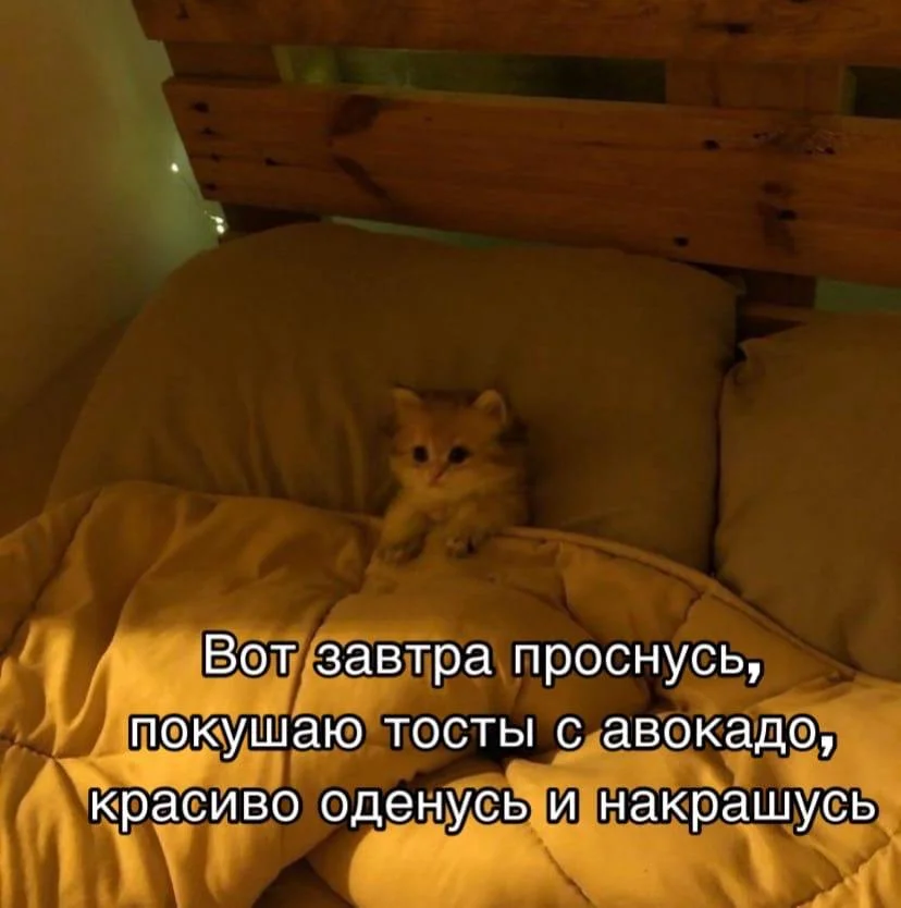 IMG_20260820_135449_205.webp