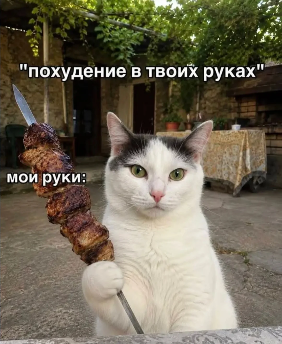 IMG_20260823_044552.webp