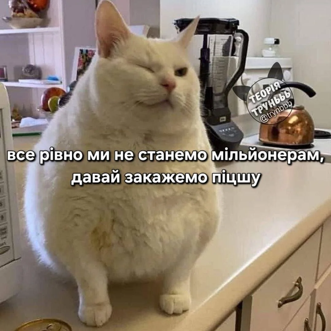 IMG_20260824_160330_797.webp