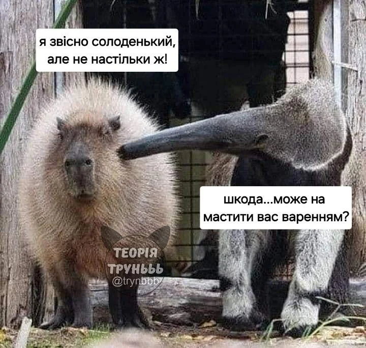 IMG_20260827_181135_664.webp