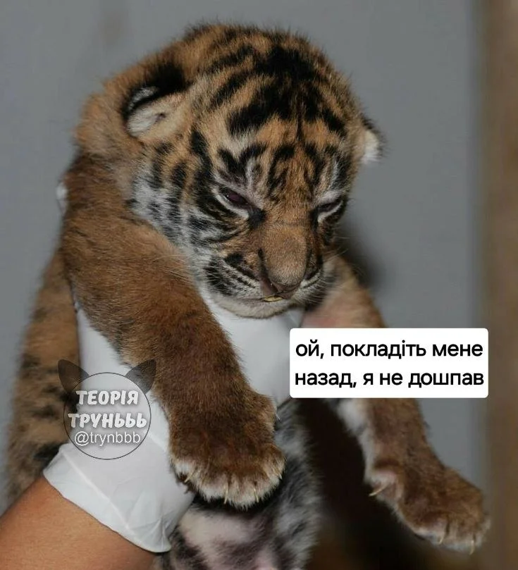 IMG_20260830_220052.webp