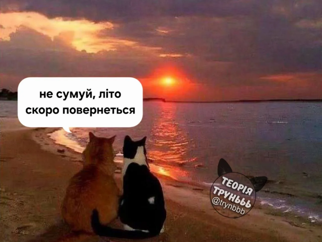 IMG_20260831_200600_170.webp