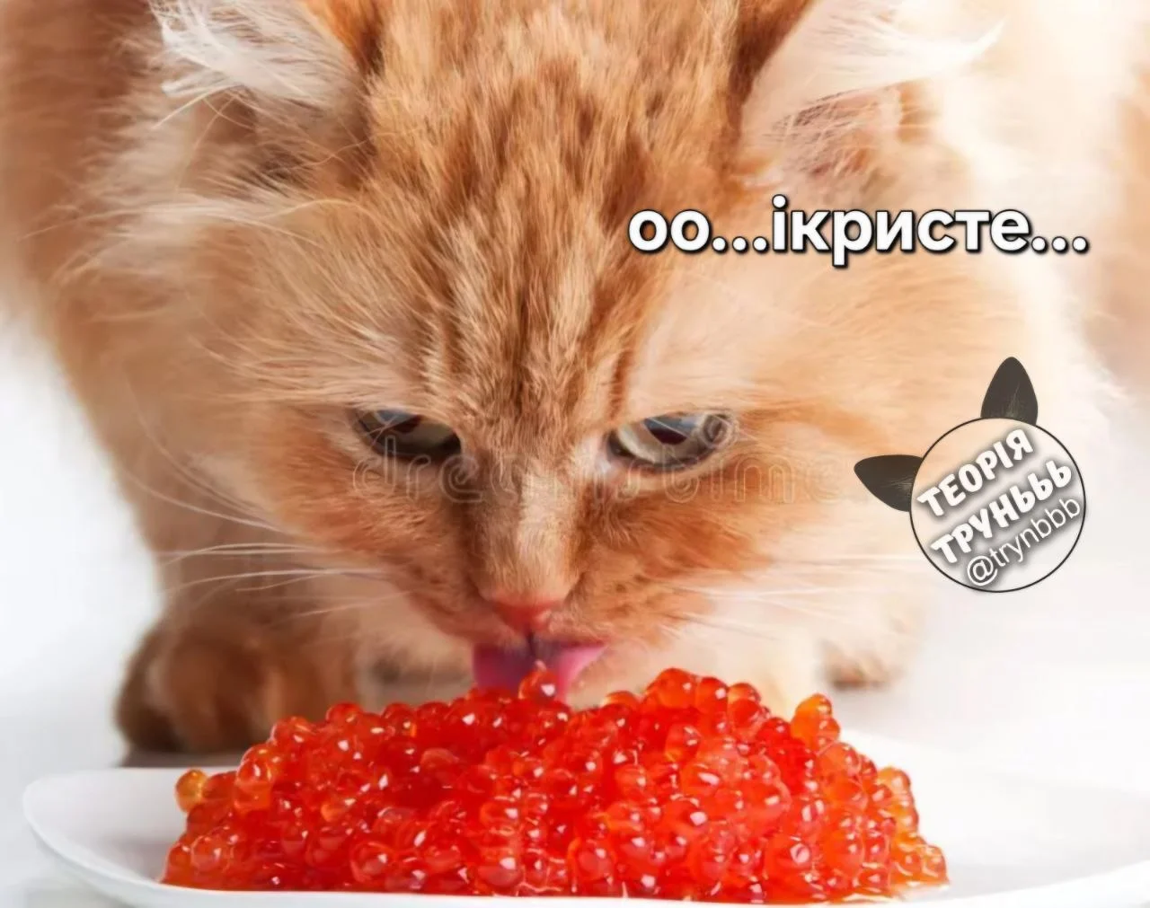 IMG_20260903_140932_654.webp