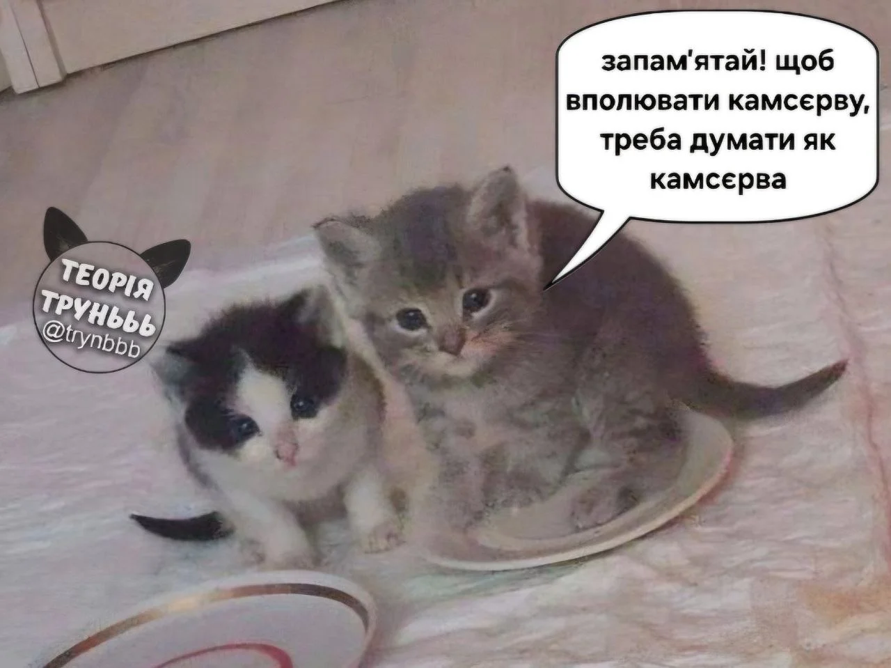 IMG_20260920_152141_280.webp