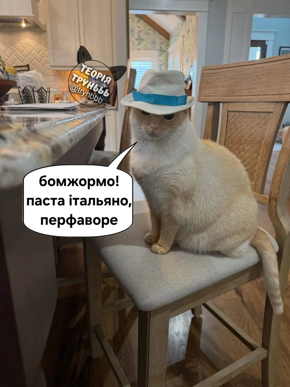 IMG_20260920_201239_084.webp