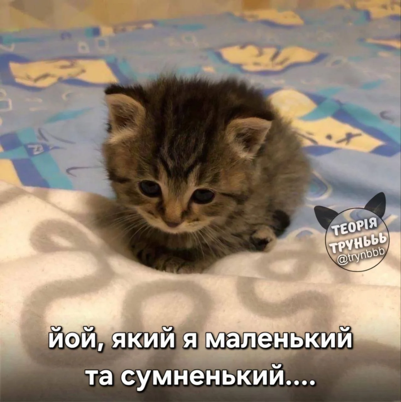 IMG_20260929_132534_405.webp