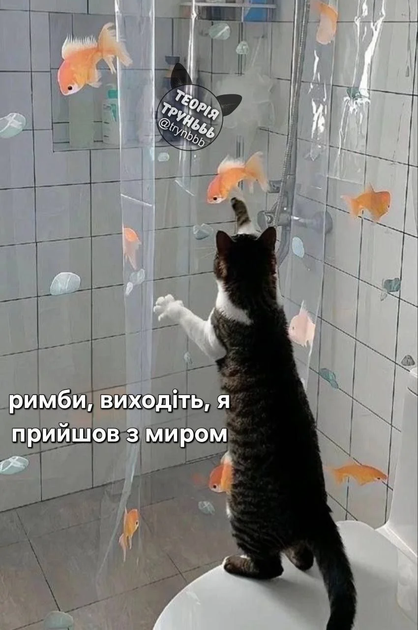 IMG_20261025_182837_317.webp