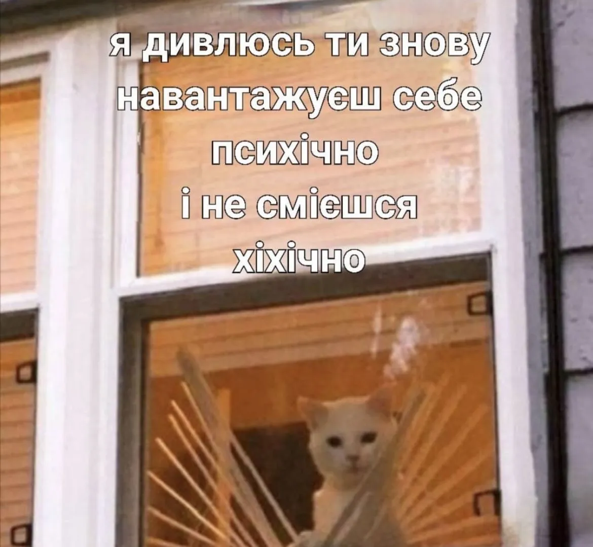 IMG_2693.webp