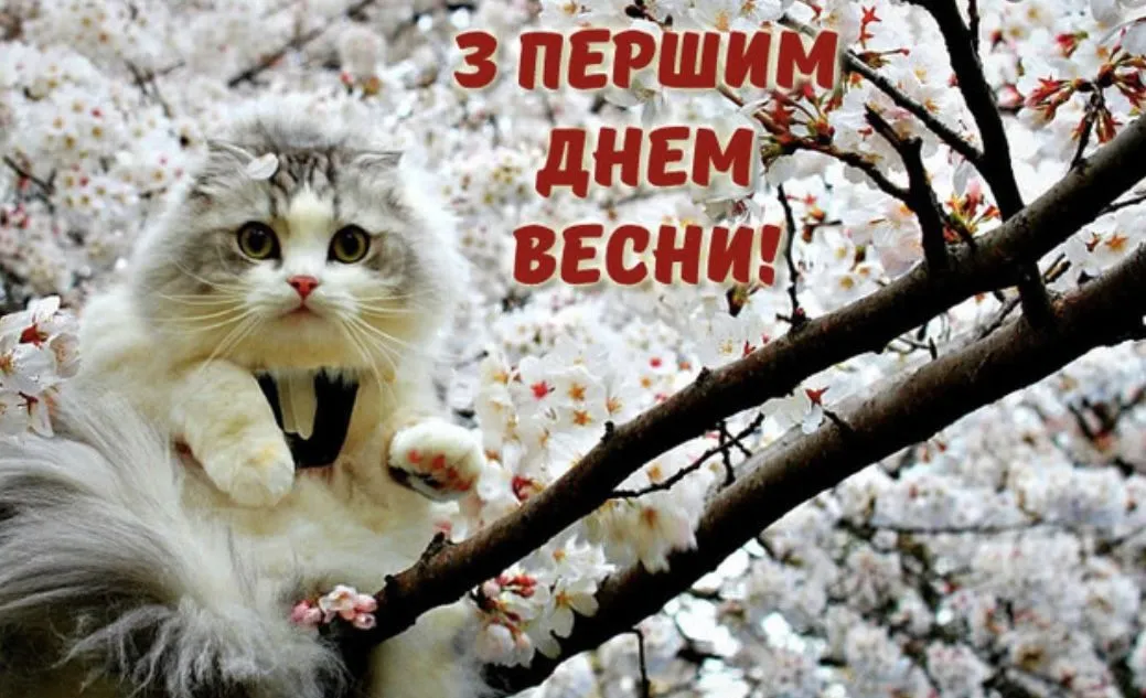IMG_7138.webp