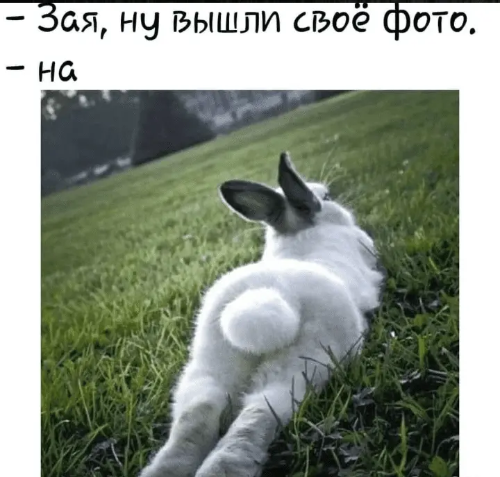 Img_95049-world11.spcs.bio.webp