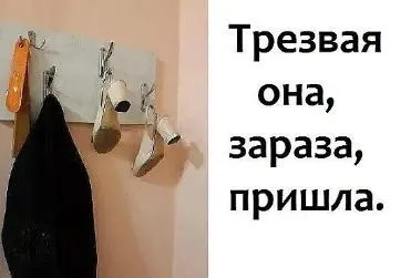 Ins53183657164_081ce54d3dd14c94ad496618c7954c8c-world71.spcs.bio.webp