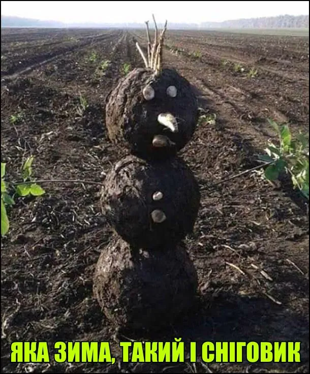 jaka-zyma-snigovyk.webp