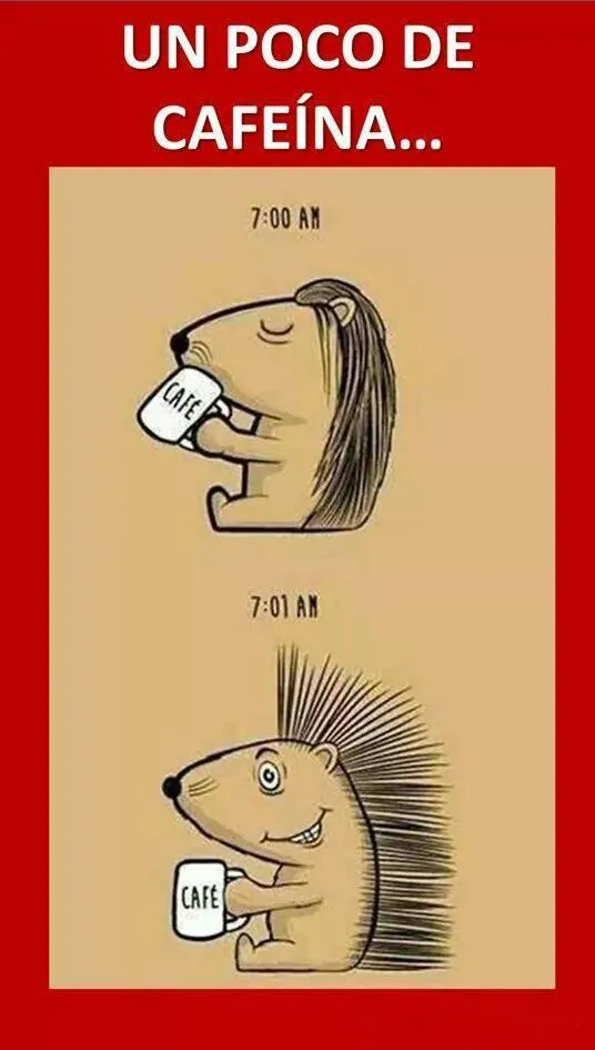 Как люди видят мир до и после кофе_ 20 лучших мемов_ Идеи и вдохновение в журнале Ярмарки Мас...webp