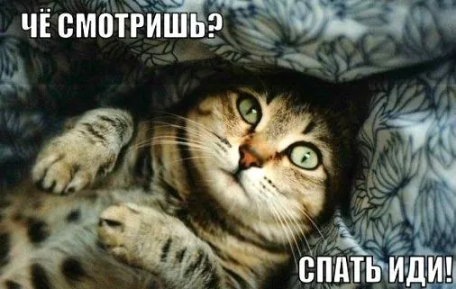 kartinki_dobroy_nochi-15.webp