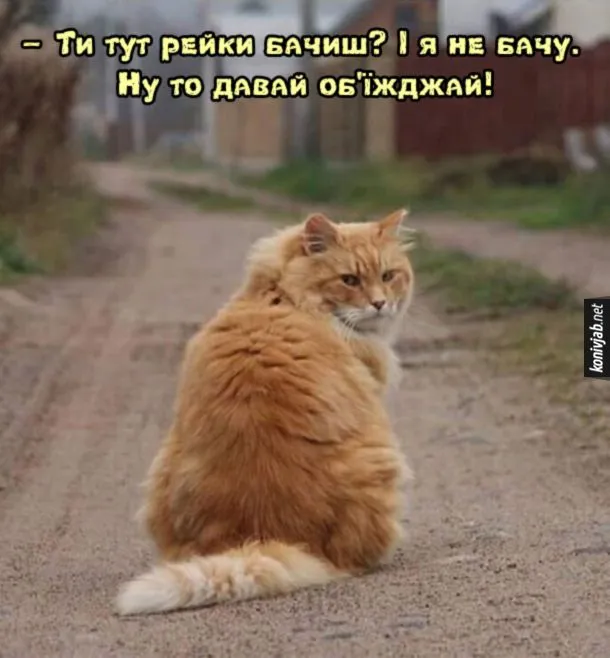 kit-rejky-bachysh.webp