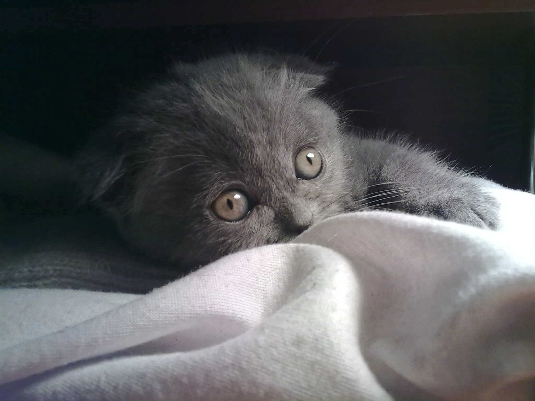 Копия 07022010593.webp