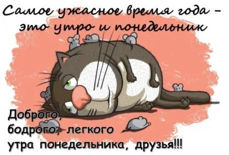 кот-обормот.webp