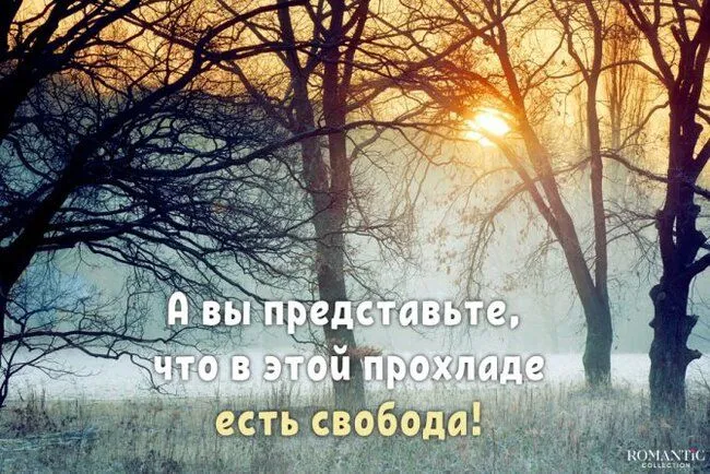 krasivye-citaty-pro-noyabr.webp