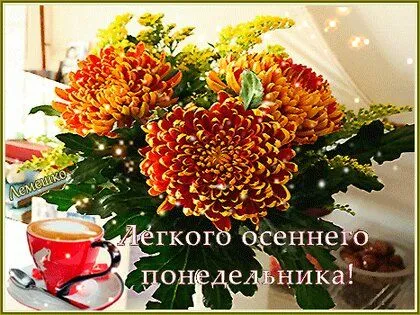 legkogo-osennego-ponedelnika.webp