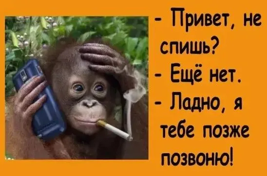 MAWnAIYXoHA-world10.spcs.bio.webp
