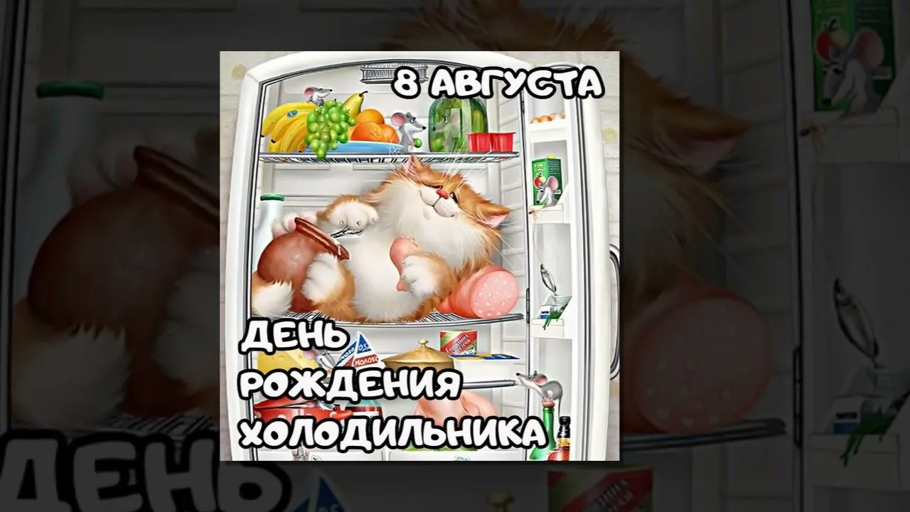 maxresdefault.webp