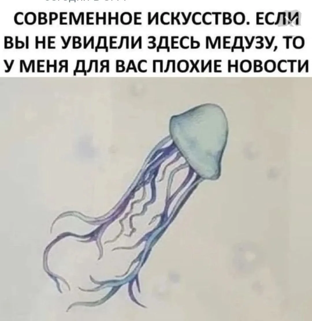 Meduza-world75.spcs.bio.webp