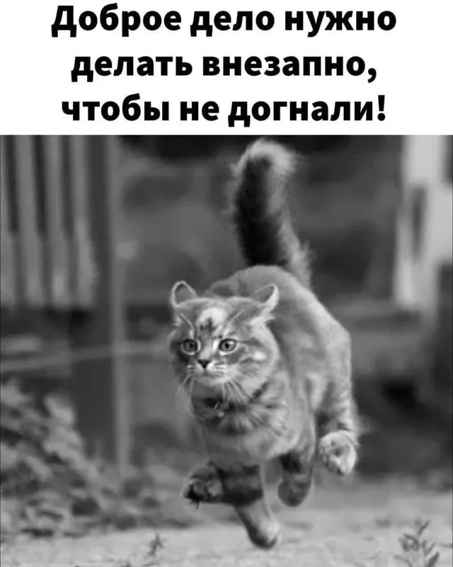 Мем-картинка GXUOIScm8 от flufy_frauolga44444_ 4 комментариев - ) _ АйДаПрикол _).webp