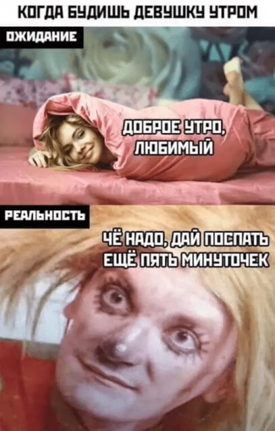 meme_5d5e521e89a96.webp