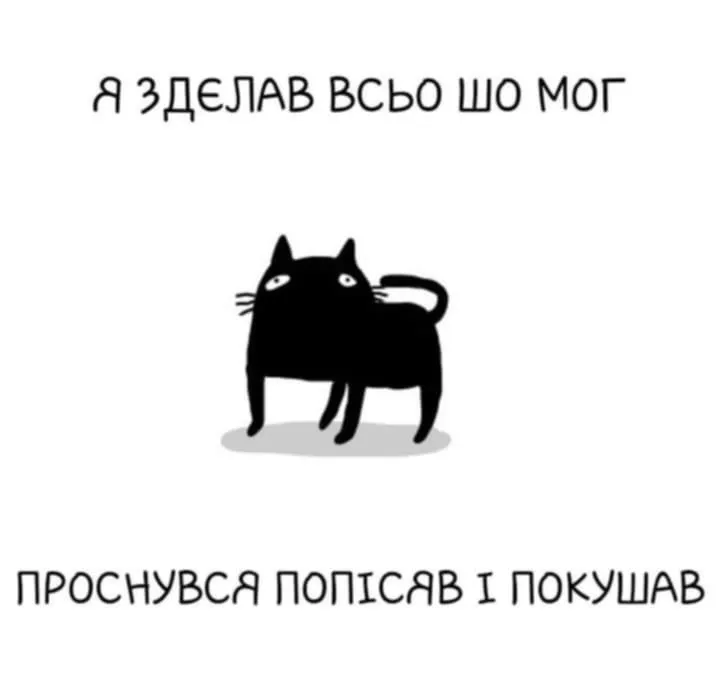 Messenger_creation_264bb48e-0f06-41e4-a45b-dc734e10355b.webp