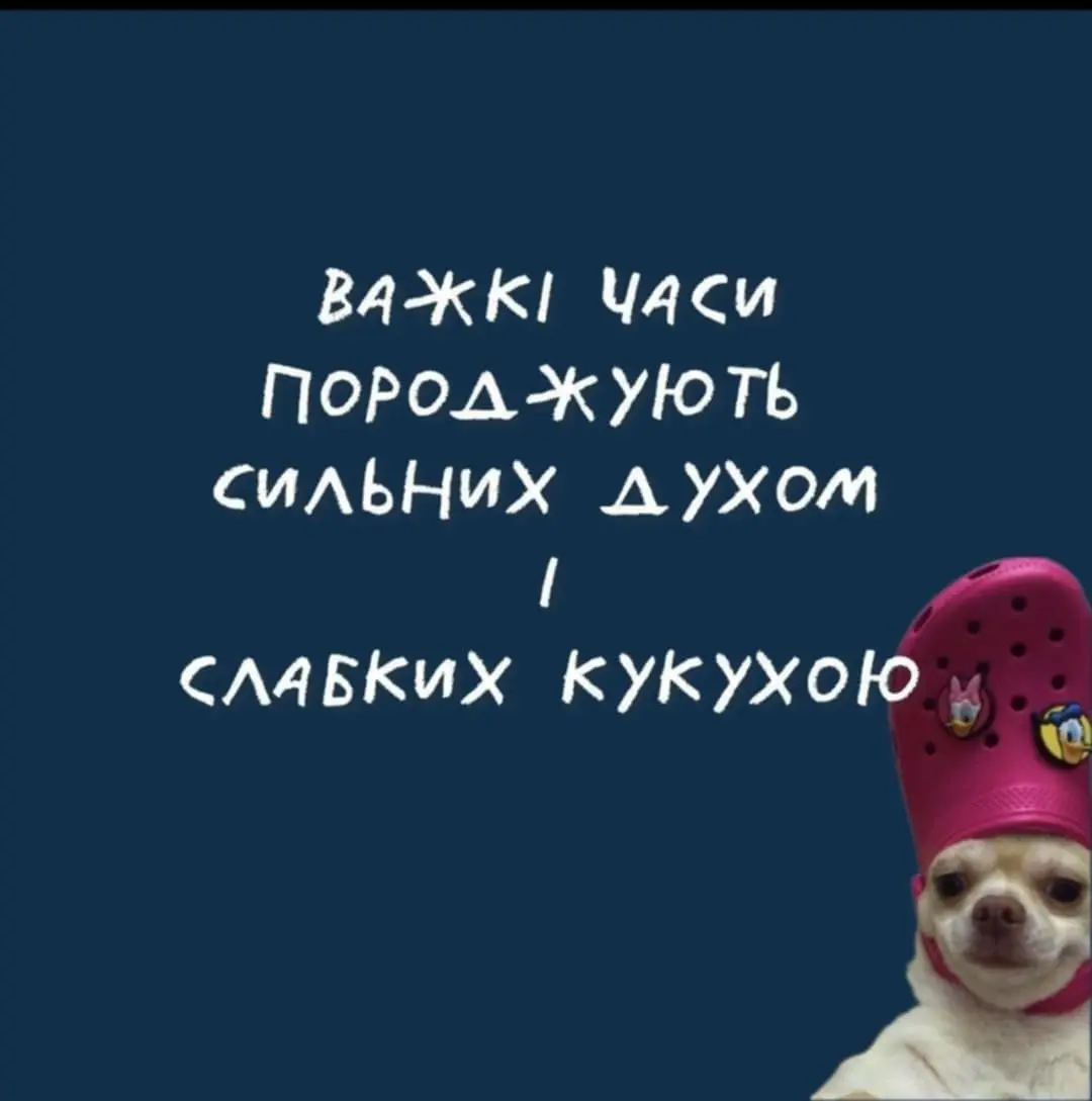 Messenger_creation_b08e03c5-fe54-49cf-88b2-0c3076ef5902.webp