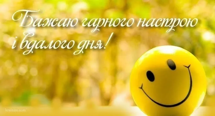 na7.webp