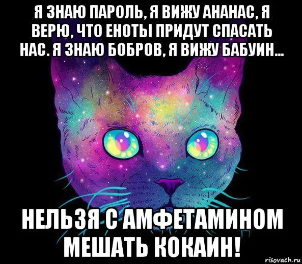 nelzya-s-amfetaminom-meshat-kokain_97279724_orig_.webp