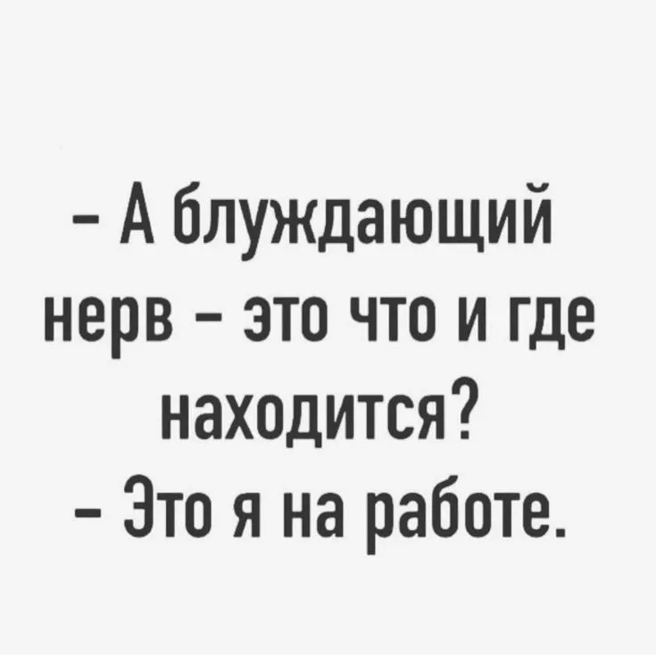 Nervy-world76.spcs.bio.webp