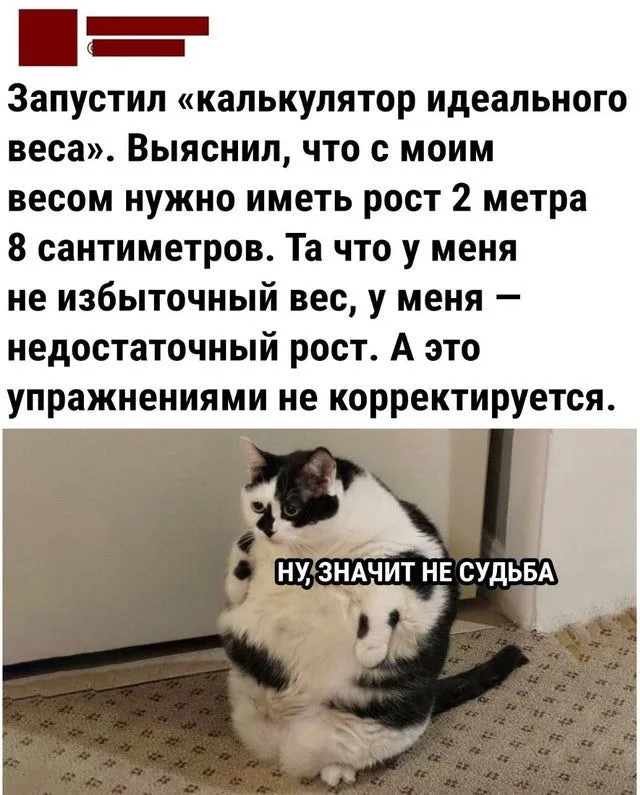 nkeqpg1hka381.webp