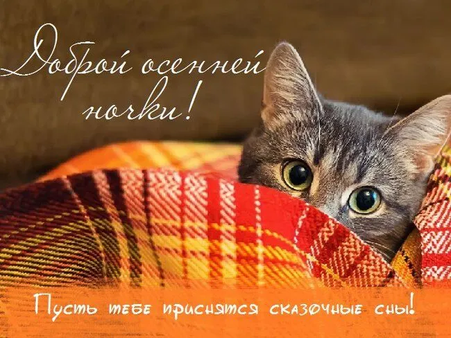 noch-osen12yyyvaaavffavavavvapvchyvaaaa.webp