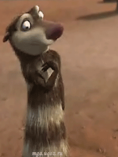 opossummy_3.gif