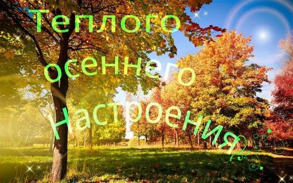 osen-noyabr-kartinki-otkrytki17-supersolnishco.net_.webp
