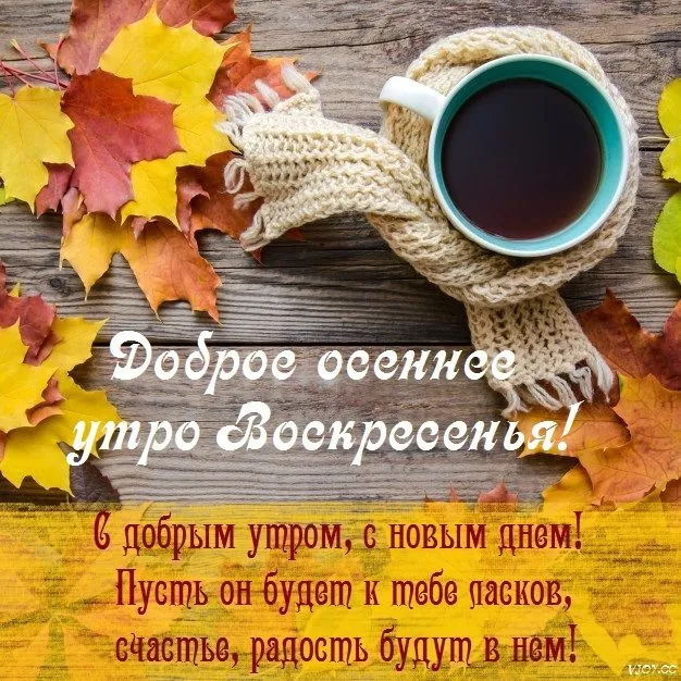 osentyyv-1.webp
