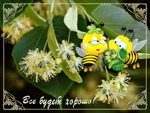 открытка-анимация-липа-пчелы.gif