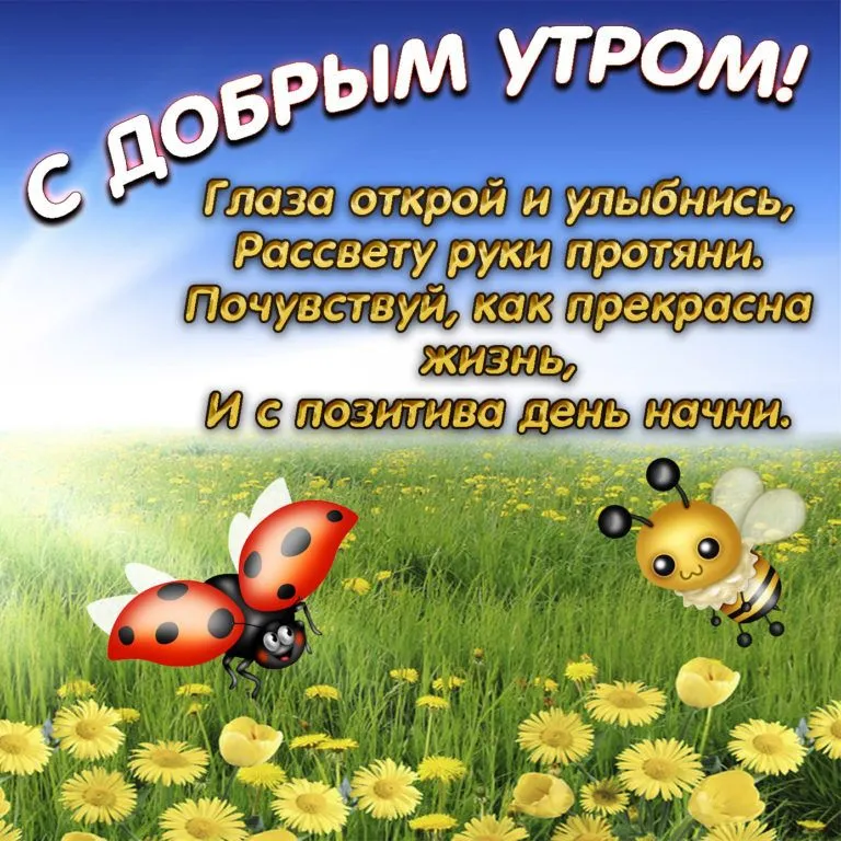 otkrytka-s-dobrym-utrom-029-768x768 (1).webp