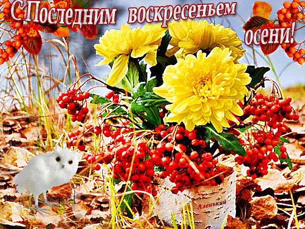 otkrytki-i-kartinki-mercaushhie-animacionnye-blestyashhie-gif-s-pozhelaniyami-na-osen-osennie-...gif