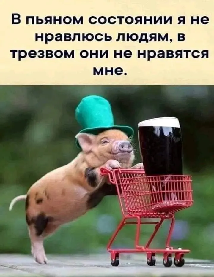 p.1200.1200.0-world26.spcs.bio (1).webp