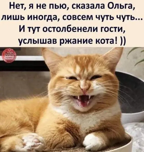 p.600.600.0-world20.spcs.bio (1).webp